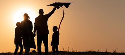 Dinaledi FS - Financial Services and Solutions